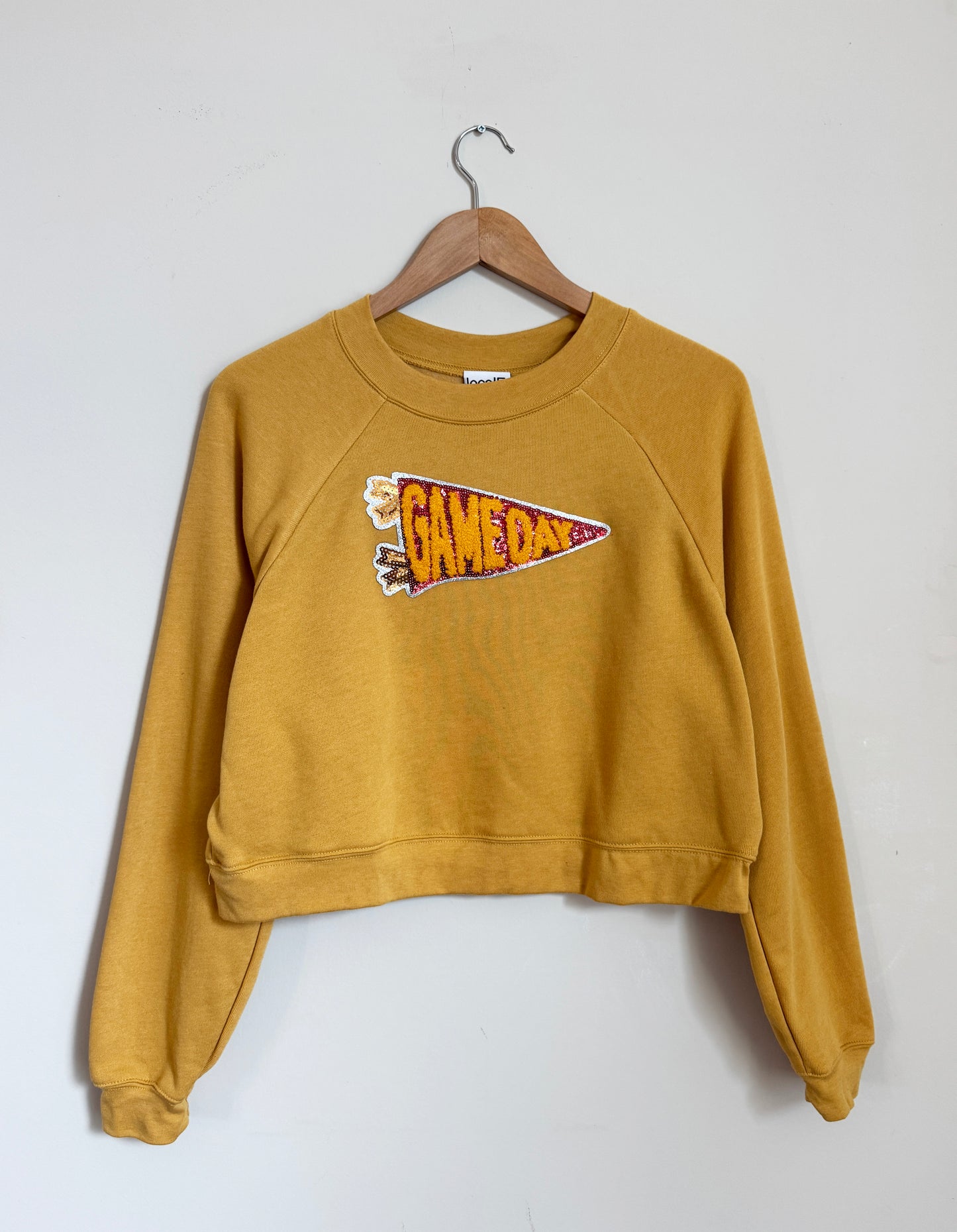Cropped Sequin Pennant Sweatshirt