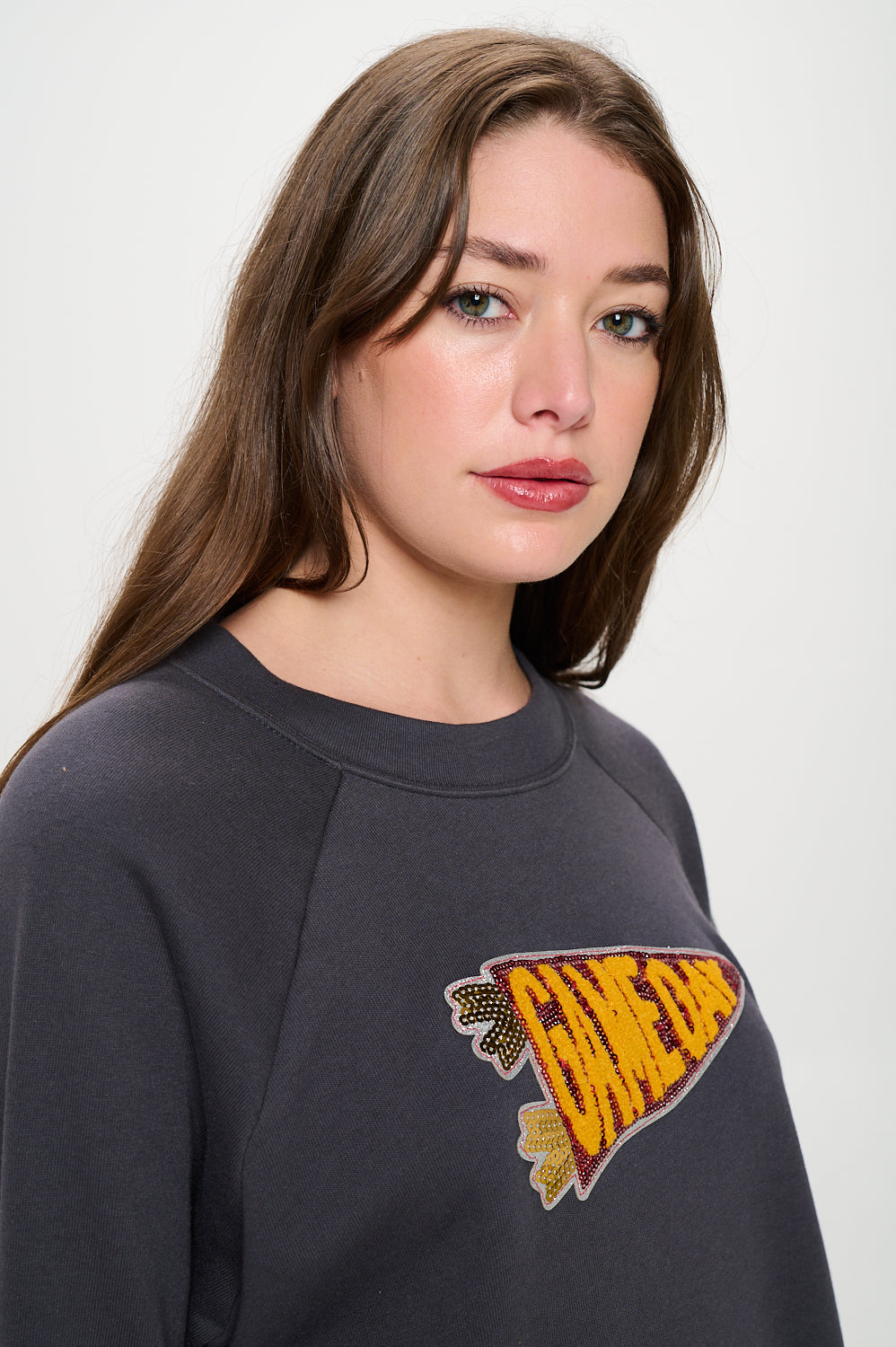 Cropped Sequin Pennant Sweatshirt